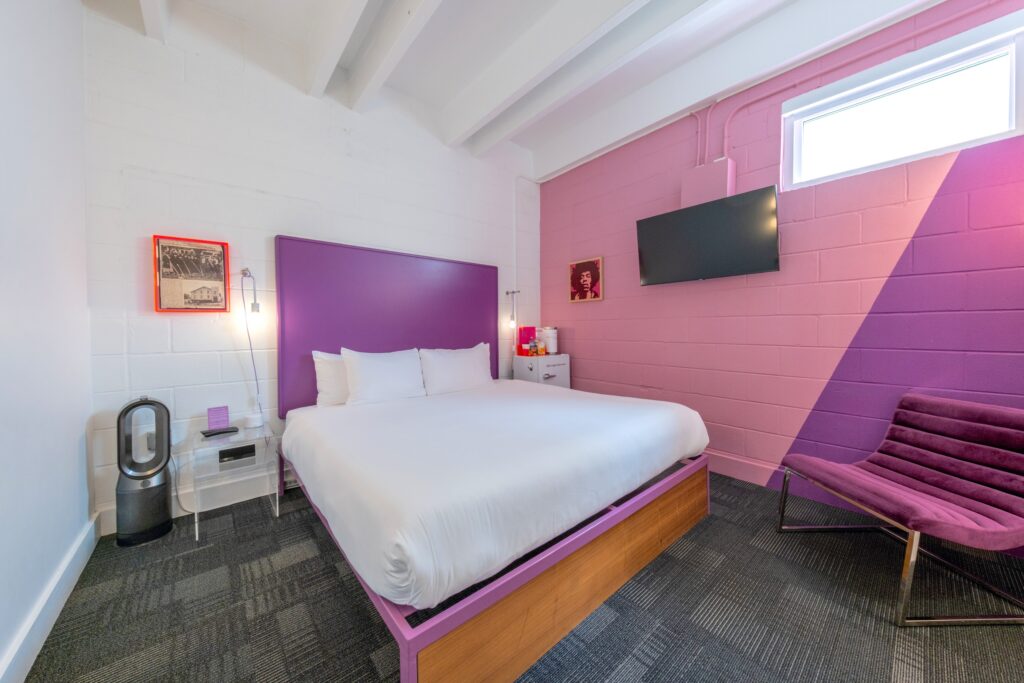 Cozy King — Pink & Purple